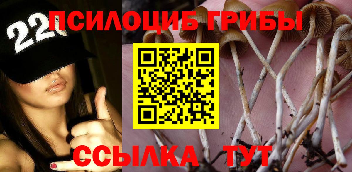 Галлюциногенные грибы ЛСД Железноводск